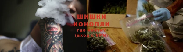 ГАЛЛЮЦИНОГЕННЫЕ ГРИБЫ Балахна