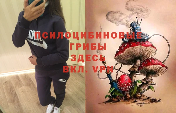 ГАЛЛЮЦИНОГЕННЫЕ ГРИБЫ Балахна