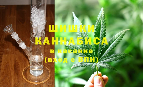 ГАЛЛЮЦИНОГЕННЫЕ ГРИБЫ Балахна