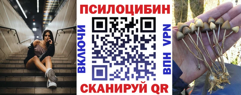 Галлюциногенные грибы GOLDEN TEACHER  Родники 