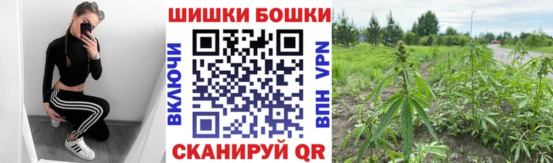 Шишки марихуана сатива Родники